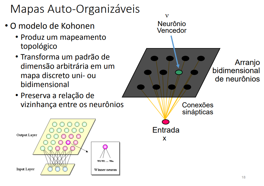 Mapa Inicial Kohonen